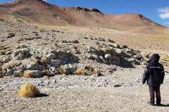 cerro_tinte_01