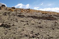 cerro_tinte_02
